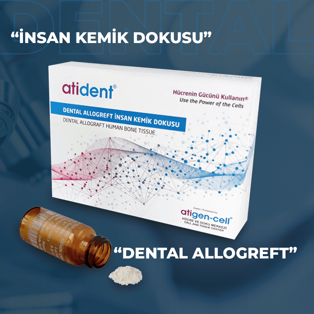 Atident Dental Allogreft